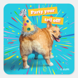 Adesivo Quadrado Chapéu de Aniversário Bumbum de Corgi