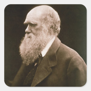 Adesivo Quadrado Charles Darwin (1809-82) (foto)