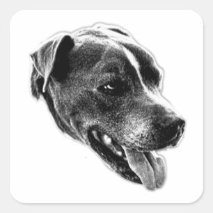 Adesivo Quadrado Charming Smile Pitbull Mix Art Sticker