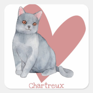Adesivo Quadrado Chartreux Cat Watercolor Gatinho Coração Rosa