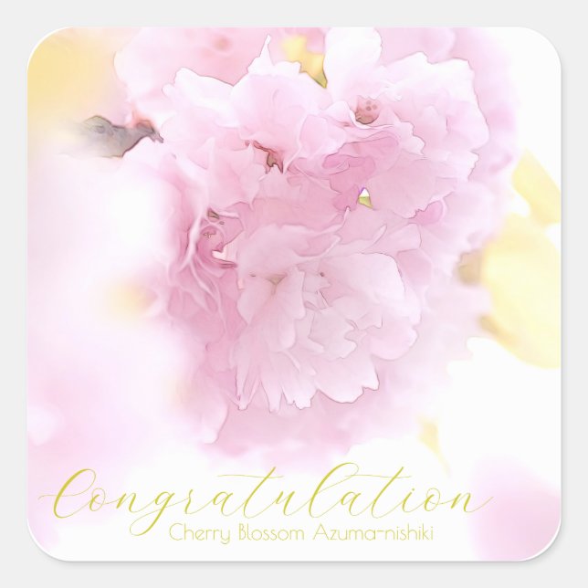 Adesivo Quadrado Cherry Blossom "Azuma-nishiki" (Frente)