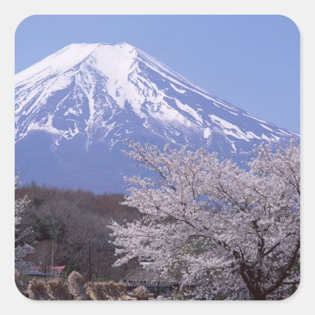 Adesivo Quadrado Cherry Blossom e Monte Fuji (Frente)