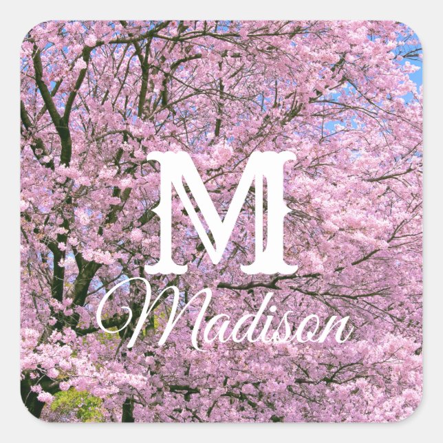 Adesivo Quadrado Cherry Blossoms em Bloom (Frente)