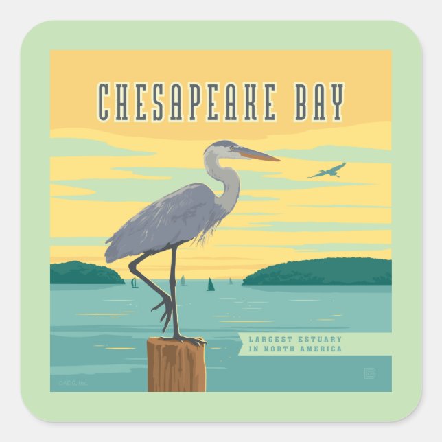Adesivo Quadrado Chesapeake Bay Largest Estuary In North America (Frente)