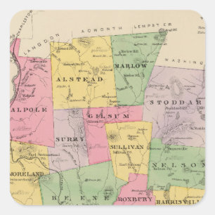 Adesivo Quadrado Cheshire County, NH