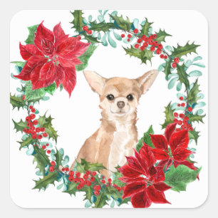 Adesivo Quadrado Chihuahua Dog Poinsettia