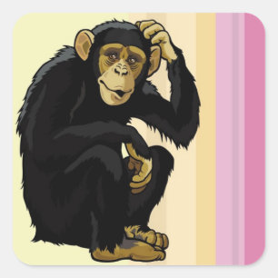 Adesivo Quadrado chimpanzé