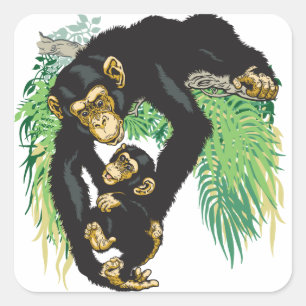 Adesivo Quadrado chimpanzé com bebê