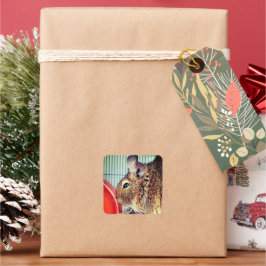 Adesivo Quadrado Chinchilla