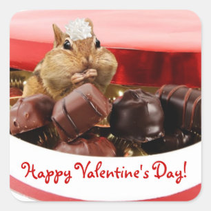 Adesivo Quadrado Chipmunk pequeno dos namorados
