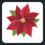 Adesivo Quadrado Christmas Poinsettia<br><div class="desc">Artesanatos de Vinheta Quadrada de Natal > Arranjo > Suprimentos de Escateamento > Adesivos > Adesivos</div>