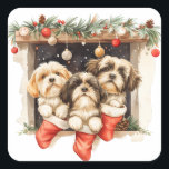 Adesivo Quadrado Christmas Shih Tzu Dogs<br><div class="desc">Uma bela ilustração cartoon dos cães Shih Tzu vestida para o Natal. Perfeito para amantes de animais de estimação ou pais de cães durante o feriado.</div>