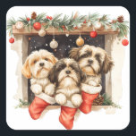 Adesivo Quadrado Christmas Shih Tzu Dogs<br><div class="desc">Uma bela ilustração cartoon dos cães Shih Tzu vestida para o Natal. Perfeito para amantes de animais de estimação ou pais de cães durante o feriado.</div>