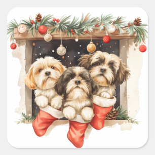 Adesivo Quadrado Christmas Shih Tzu Dogs