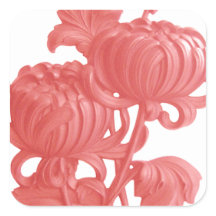 Chrysanthemum Rosa
