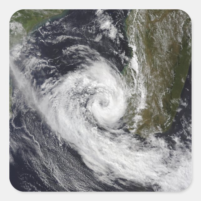 Adesivo Quadrado Ciclo Tropical Izilda (Frente)