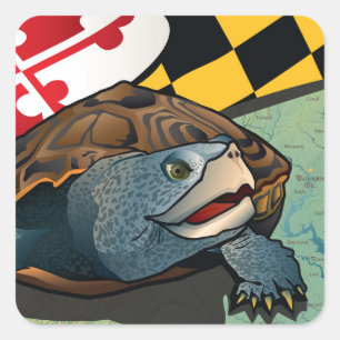 Adesivo Quadrado Cidadão Terrapin, tartaruga de Maryland