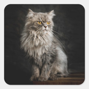 Adesivo Quadrado Cinza Fluffy Cat