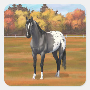 Adesivo Quadrado Cinza Grulla Appaloosa Quarter Horse Stallion