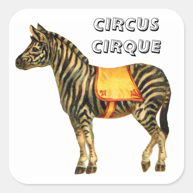 Adesivo Quadrado Circo Vintage executando zebra (Frente)
