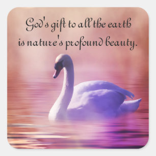 Adesivo Quadrado Cisne nobre