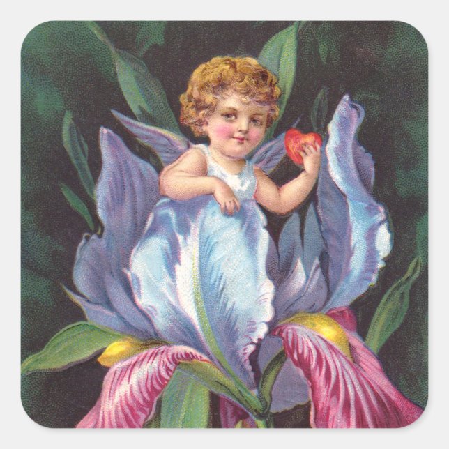 Adesivo Quadrado Clapsaddle: Flor Cherub Iris (Frente)