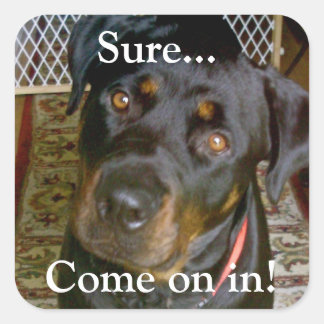 Adesivo Quadrado "Claro... entre" Sticker (rottweiler)