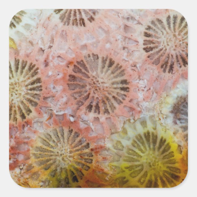 Adesivo Quadrado Close-up de Coral Rosa (Frente)