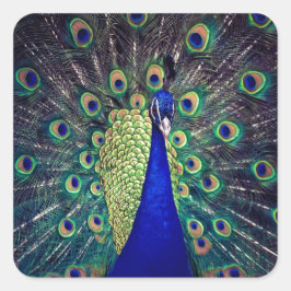 Adesivo Quadrado Cobalto Blue Peacock