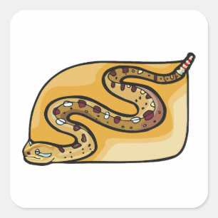Adesivo Quadrado Cobra Cascavel Serpente Deserto Sudoeste