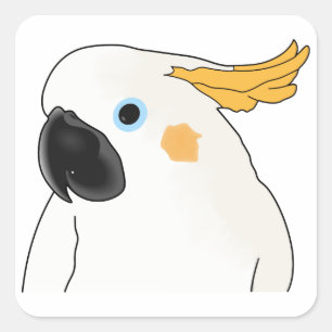 Adesivo Quadrado Cockatoo Bust