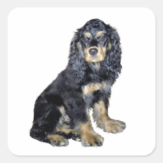 Adesivo Quadrado Cocker Spaniel (preto e bronzeado)