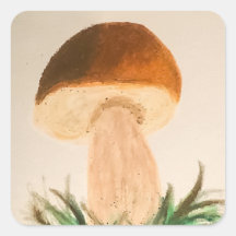 Cogumelo Porcini