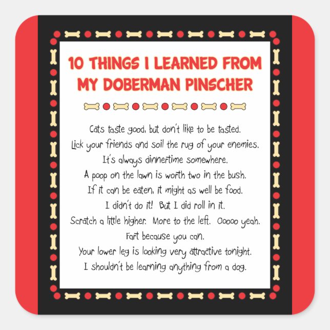 Adesivo Quadrado Coisas Engraçadas Que Aprendi Com Meu Doberman Pin (Frente)