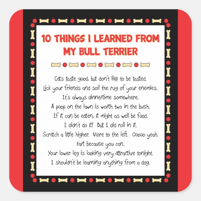 Adesivo Quadrado Coisas Engraçadas Que Aprendi Com Meu Touro Terrie (Frente)