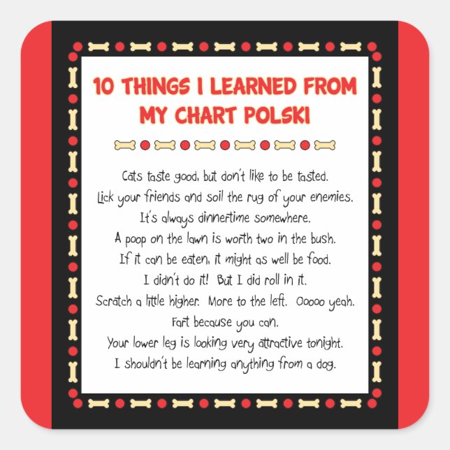 Adesivo Quadrado Coisas Engraçadas Que Aprendi No Meu Gráfico Polsk (Frente)