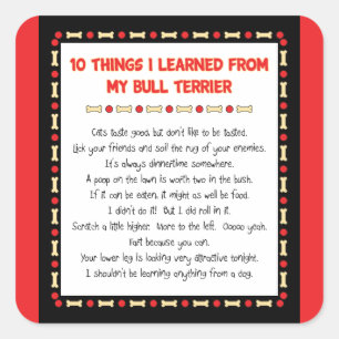 Adesivo Quadrado Coisas que engraçadas eu aprendi de meu bull