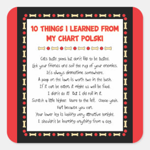 Adesivo Quadrado Coisas que engraçadas eu aprendi de minha carta