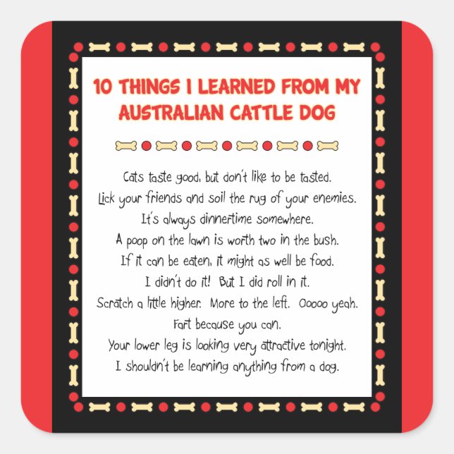 Adesivo Quadrado Coisas que engraçadas eu aprendi do cão (Frente)