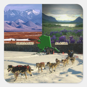 Adesivo Quadrado Colagem de Fairbanks, Alaska