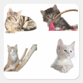 Adesivo Quadrado Colagem de Fotos de Gatinhos Fofos Gato Macio Esté