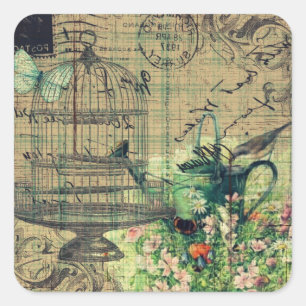 Adesivo Quadrado Colagem w/Bird do vintage & jardim do Birdcage