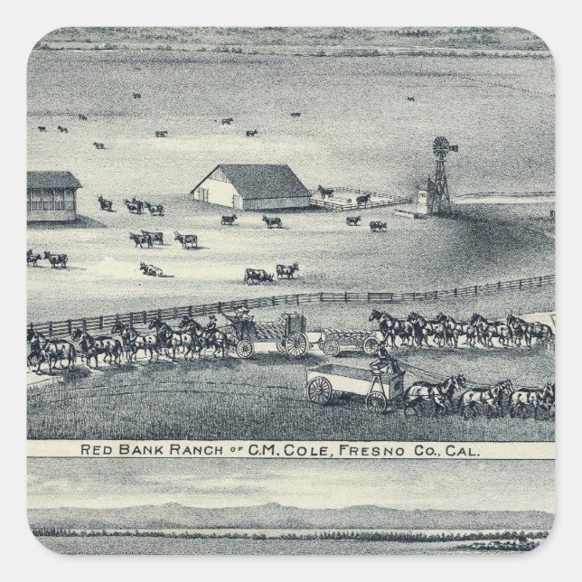 Adesivo Quadrado Cole Ranches (Frente)