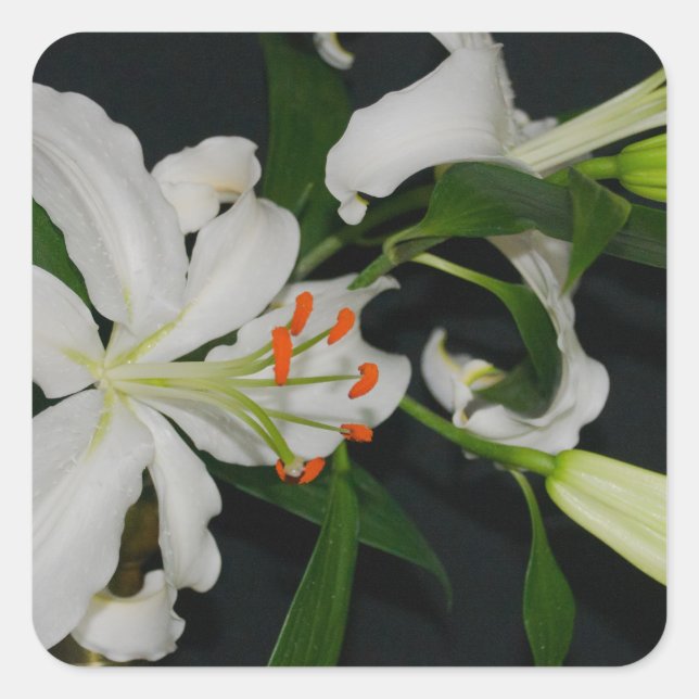 Adesivo Quadrado Coleção de Design e Flores irlandesas (Frente)