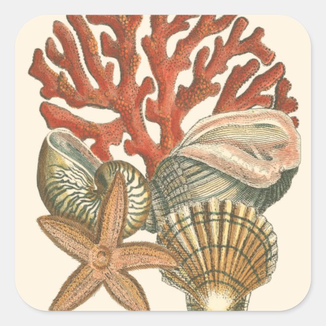 Adesivo Quadrado Coleção Sealife (Frente)