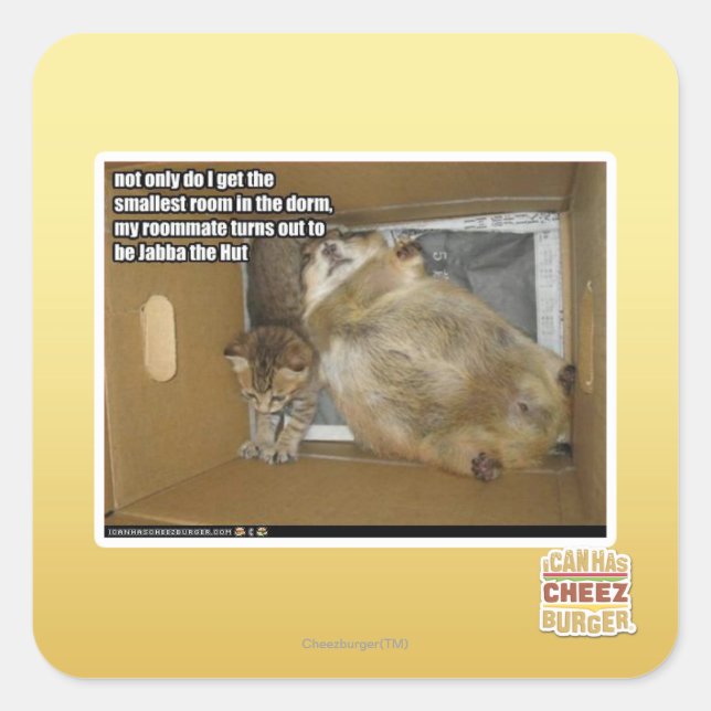 Adesivo Quadrado Colega de quarto de gordura (Frente)