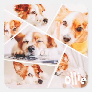 Adesivo Quadrado Coleta Foto de Colagem de 6 Imagens Personalizadas
