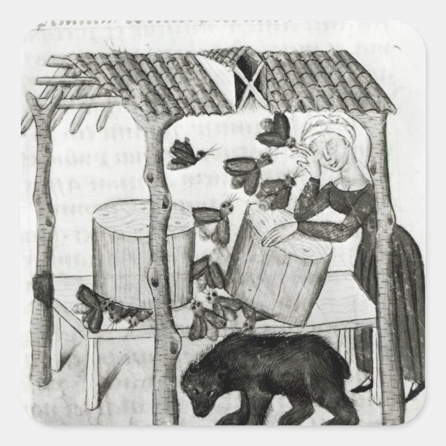 Adesivo Quadrado Coletar Mel (Frente)