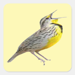 Adesivo Quadrado Coletor de Meadowlark