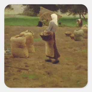 Adesivo Quadrado Colheita De Batatas